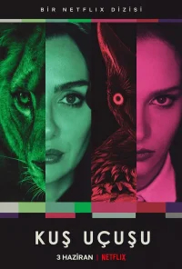 Полёт птицы бесплатно